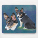 Pesquisar por corgi de galês Pembroke