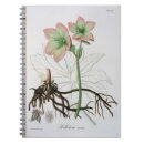 Pesquisar por medical cadernos de notas Hoquart