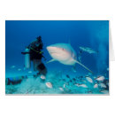 Pesquisar por autonoma cartoes postais Mergulho autónomo