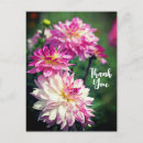 Pesquisar por obrigado floral cartoes postais Foto