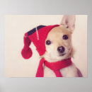 Pesquisar por cão papai noel pósteres pôsteres Animal