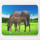 Pesquisar por kids animal eletronicos Animals