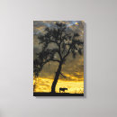 Pesquisar por madeira carvalho de impressão de canvas Cavalo