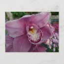Pesquisar por orquídeas roxas cartoes postais Jardim