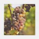 Pesquisar por agricultura imas Francês