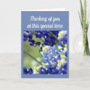 Pesquisar por friendship cartoes postais Photography