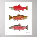 Pesquisar por salmões pôsteres Pesca
