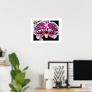 Pesquisar por flor da orquídea pósteres pôsteres Floral