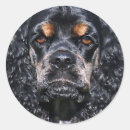 Pesquisar por cocker spaniel adesivos Cães