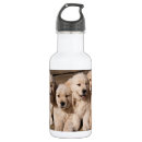 Pesquisar por do filhote cachorro garrafa garrafa agua Filhotes de cachorro