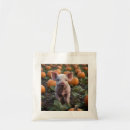 Pesquisar por porca bolsas For her