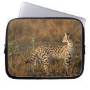 Pesquisar por reservas capas África