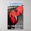 Pesquisar por galinhas engraçadas artes pôsteres Vida fazenda