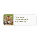 Pesquisar por tiger etiquetas endereco retorno Natureza