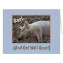 Pesquisar por pig cartoes postais Porco dormindo