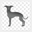 Pesquisar por galgos adesivos Galgo italiano