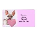 Pesquisar por caos etiquetas Cão