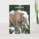 Pesquisar por wildlife cartoes Elephants