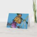 Pesquisar por alimentação cartoes Natureza