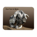 Pesquisar por escultura de imas Pedra