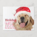 Pesquisar por tongue cartoes Golden retriever