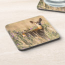 Pesquisar por veado selvagem porta copos Natureza