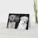 Pesquisar por cão e flores cartoes Para eles