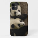 Pesquisar por pandas gigantes iphone capas Fauna