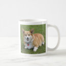 Pesquisar por corgis canecas Cão