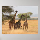 Pesquisar por mãe natureza pôsteres For him