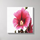 Pesquisar por malva impressão de canvas Rosa