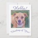 Pesquisar por vizinho cartoes postais Pensando em você