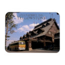 Pesquisar por yellowstone Velho fiel