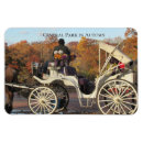 Pesquisar por cavalo imas Outono