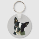 Pesquisar por boston terrier chaveiros Cachorros