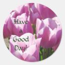 Pesquisar por tulipas roxas adesivos Natureza