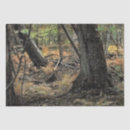 Pesquisar por folha de seda fotografia Outono