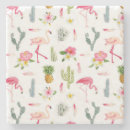 Pesquisar por cacto porta copos Succulent