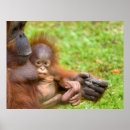 Pesquisar por mãe natureza pôsteres Adorável