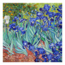 Pesquisar por flores van gogh pósteres pôsteres Impressionismo