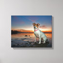 Pesquisar por assento impressão de canvas Cão