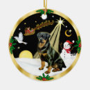 Pesquisar por rottweiler ornamentos Cães