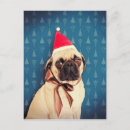 Pesquisar por pug do horizontal natal cartoes Xmas
