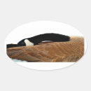 Pesquisar por ganso adesivos Selvagem