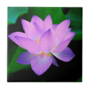 Pesquisar por flor lotus de azulejos Lótus