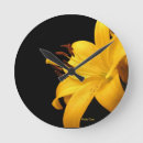 Pesquisar por amarelo lilly Flor