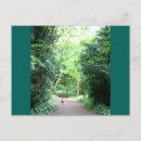 Pesquisar por woodland cartoes postais Natureza