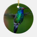 Pesquisar por colibri ceramica ornamentos Birding