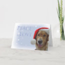 Pesquisar por cartão do anjo do natal cartoes Cão