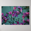 Pesquisar por significados pôsteres Floral